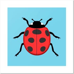 Ladybug Posters and Art